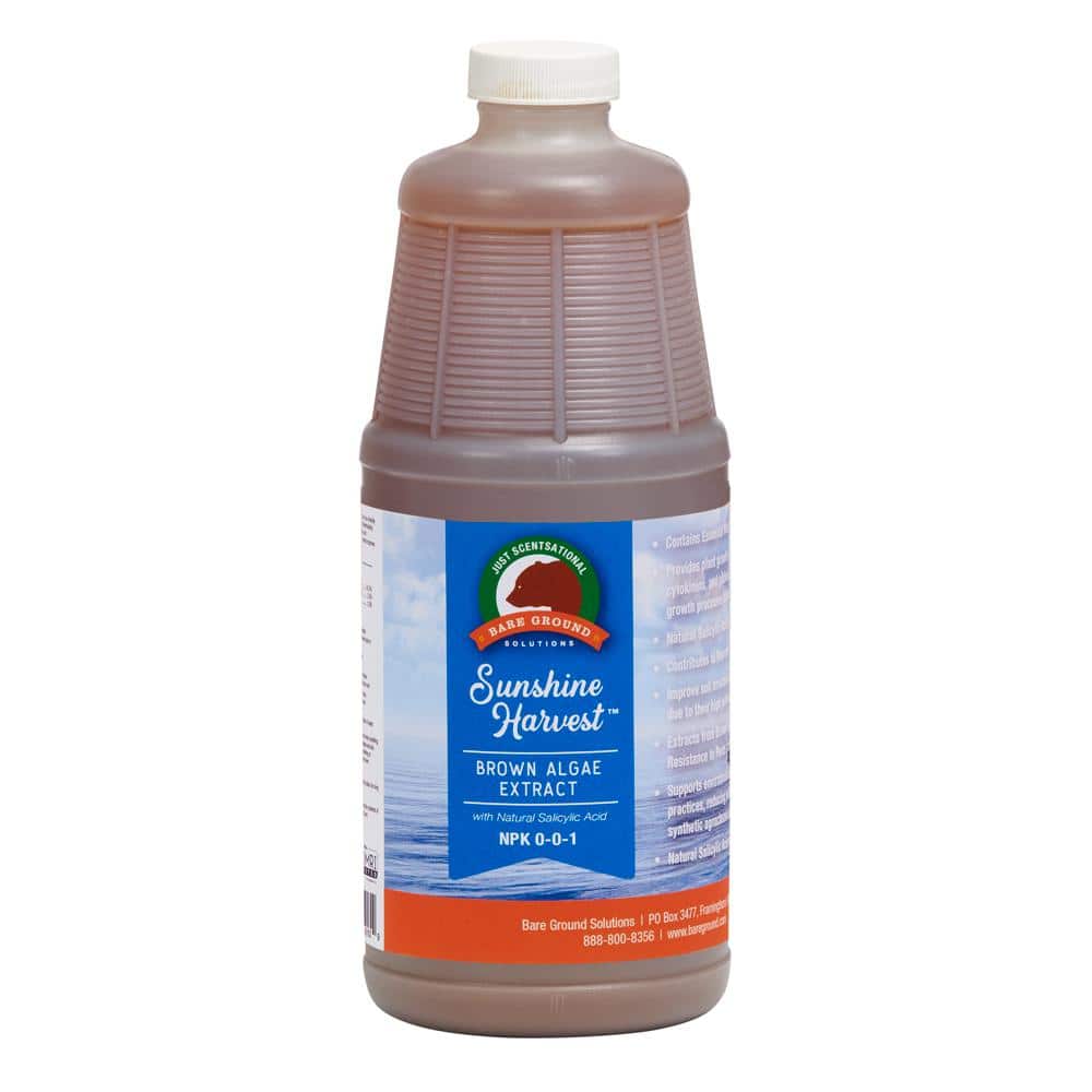 Just Scentsational 32 oz. Brown Algae with Natural Salicylic Acid