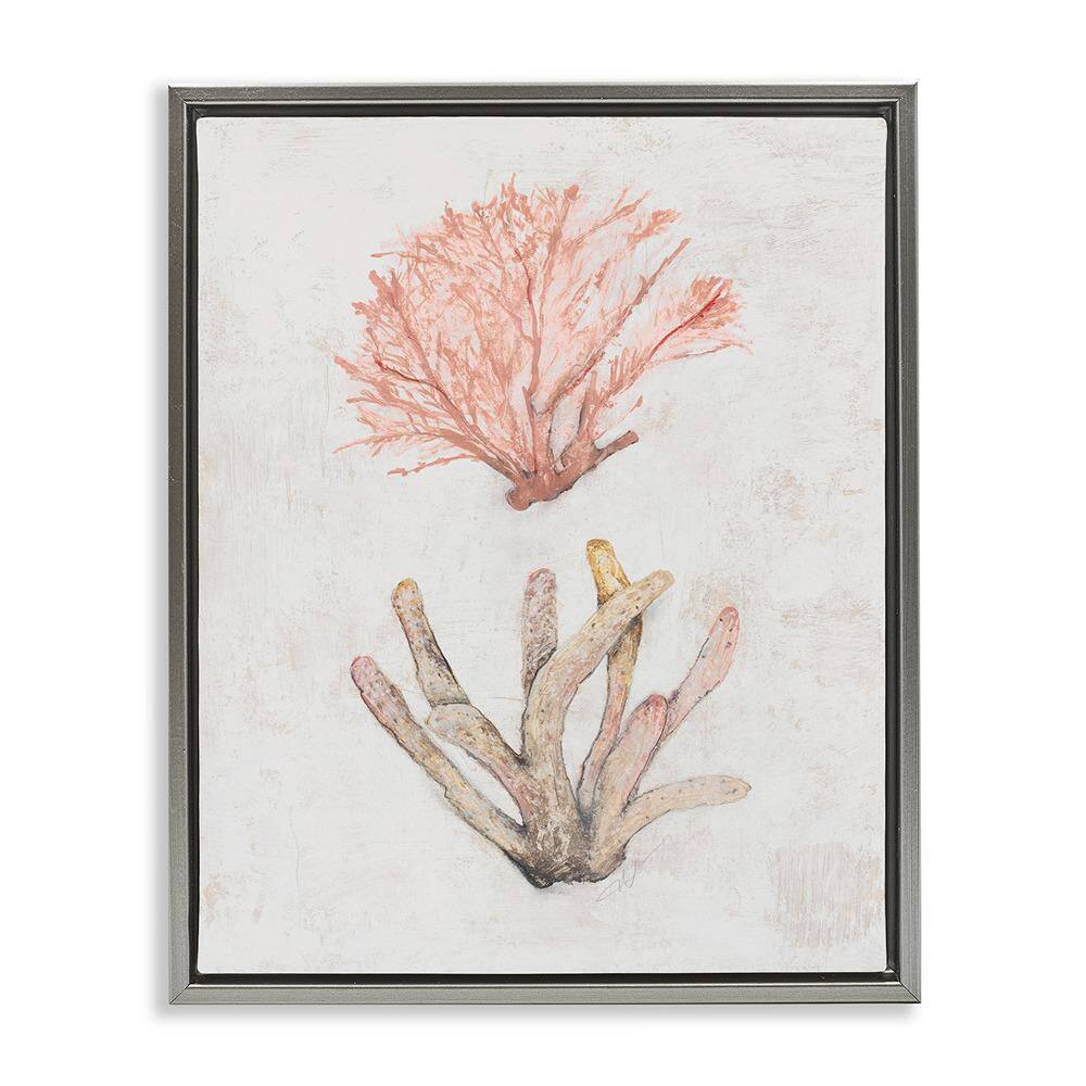 Peach Coral Pieces by Filippo Ioco Gray Floater Frame Coastal Graphic Art Print 21 in. x 17 in. price history on PriceWatchPro