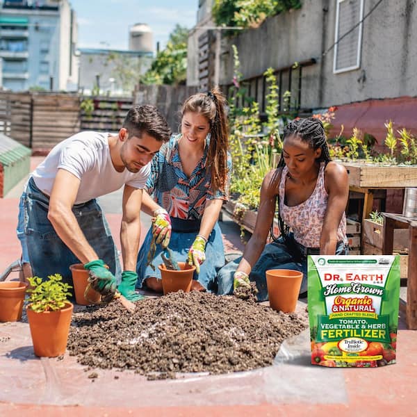 Dr Earth 704P Home Grown Organic Tomato Vegetable & Herb Fertilizer 4-6-3 4lb