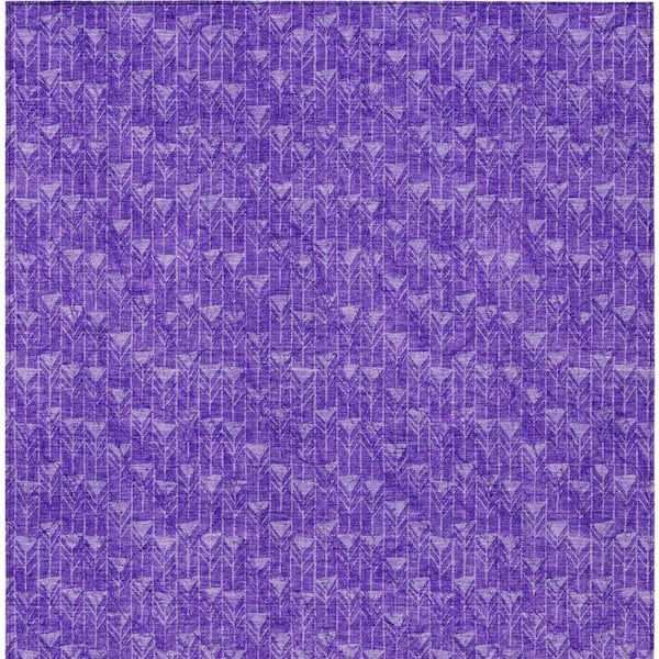 Purple 3 ft. x 5 ft. Geometric Indoor / Outdoor Area Rug