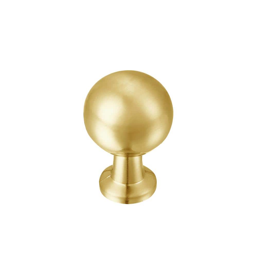 Brushed Brass Round Cabinet Knob with Mounting Hardware