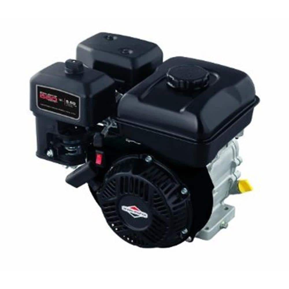 Briggs & Stratton 550 Series Gas Engine