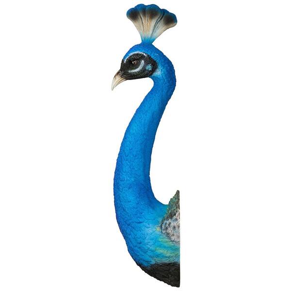 画材 Peacockesque Jay Strongwater Darien Rainbow Peacock Box SDH7327-202