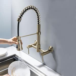 High Arch Double Handle Pull Down Sprayer Kitchen Faucet with Advanced Spray in Brushed Gold