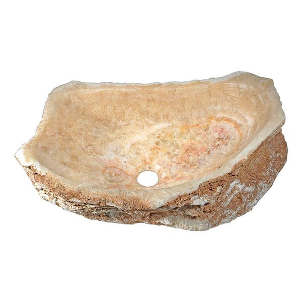ANZZI Desert Shell Novelty Specialty Natural Stone Vessel Sink in Dark Honey Onyx