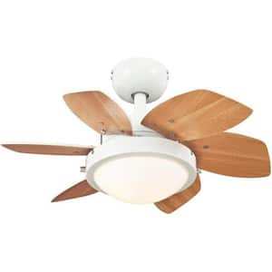 24 in. Integrated LED Indoor Quince White Reversible Ceiling Fan