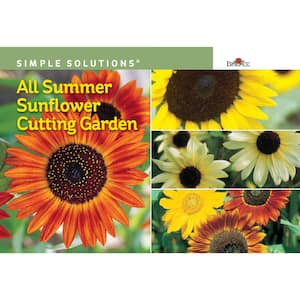 Simple Solutions All Summer Sunflower Cutting Garden Seed