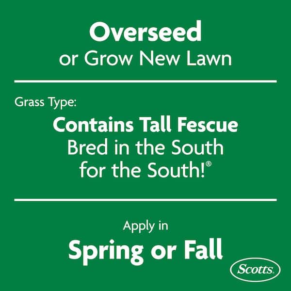 Turf Builder 32 lbs. Grass Seed Southern Gold Mix for Tall Fescue Lawns with Fertilizer and Soil Improver
