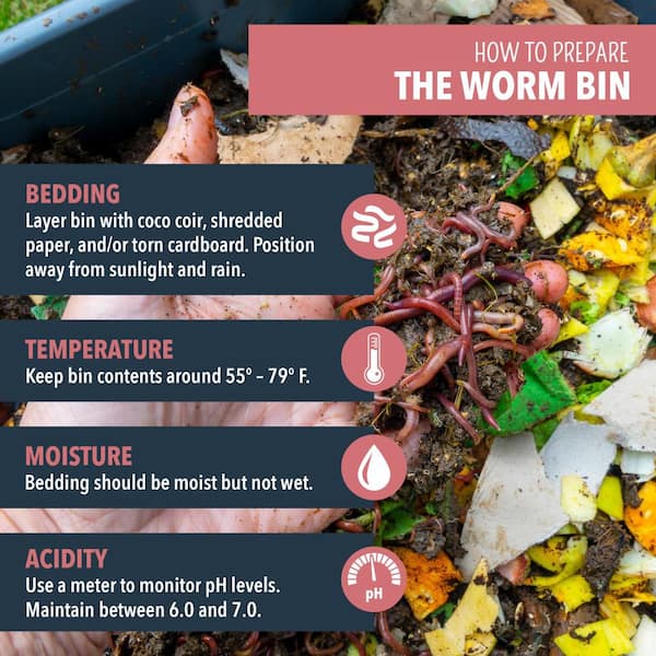 Arcadia Garden Products Worm Nerd Live Composting Worm Mix (100