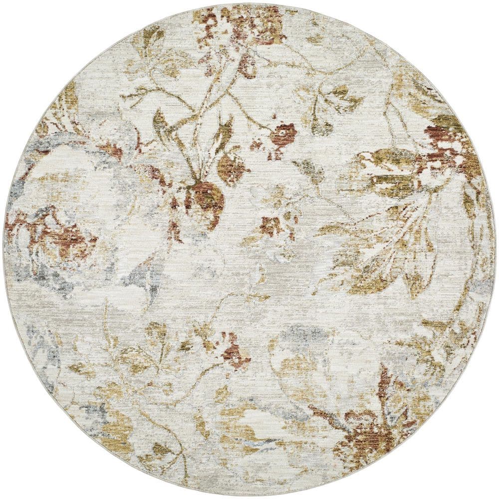 Roseanne Light Gray Cottage Floral 6 ft. 7 in. x 6 ft. 7 in. Area Rug price history on PriceWatchPro