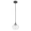 https://images.thdstatic.com/productImages/0bf057c4-2f2a-4ecf-8a4f-89493224be5f/svn/matte-black-globe-electric-pendant-lights-60312-64_65.jpg