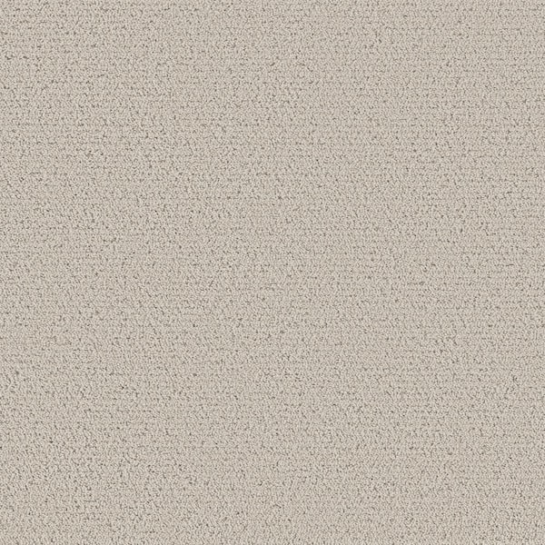 Lifeproof Poppy Color Clay Beige 42 oz. SD Polyester Pattern Installed Carpet