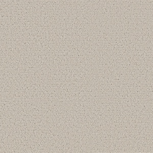 Night Owl - Jute-Beige 12 ft. 42 oz. SD Polyester Pattern Intalled Carpet