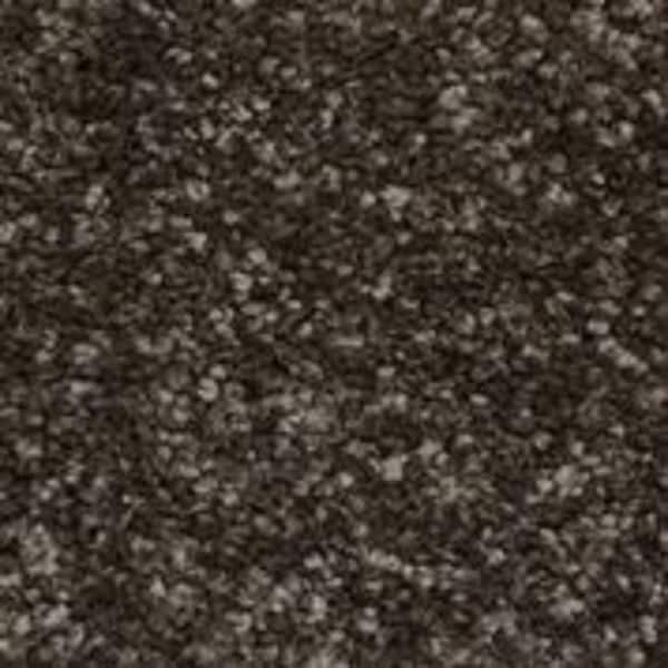 Home Decorators Collection Sycamore II - Ebony - Gray 58 oz. SD Polyester Texture Installed Carpet