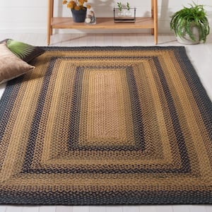 Braided Gold Sage 4 ft. x 6 ft. Striped Border Area Rug