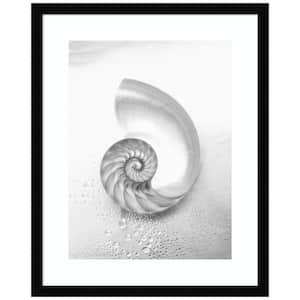 "Pearl Nautilus Shell Cut In Half" 1-Piece Wood Framed Black and White Nature Photography Wall Art 21 in. x 17 in.