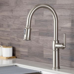 Sellette Traditional Single-Handle Pull-Down Sprayer Kitchen Faucet in Spot Free Stainless Steel