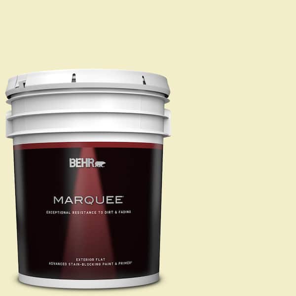 BEHR MARQUEE 5 gal. #400C-2 Home Song Flat Exterior Paint & Primer