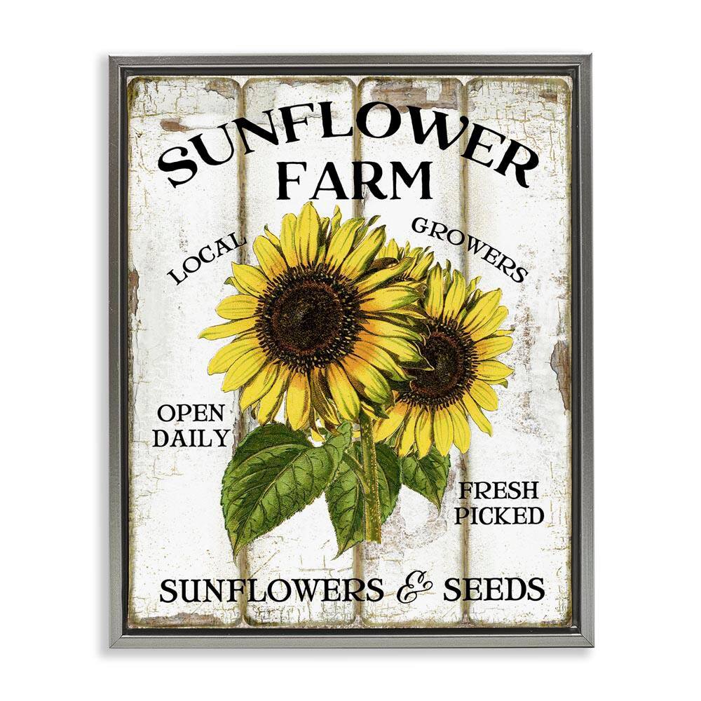 Antique Sunflower Farm Seeds by Creatif Belle Gray Floater Frame Nature Graphic Art Print 21 in. x 17 in. price history on PriceWatchPro
