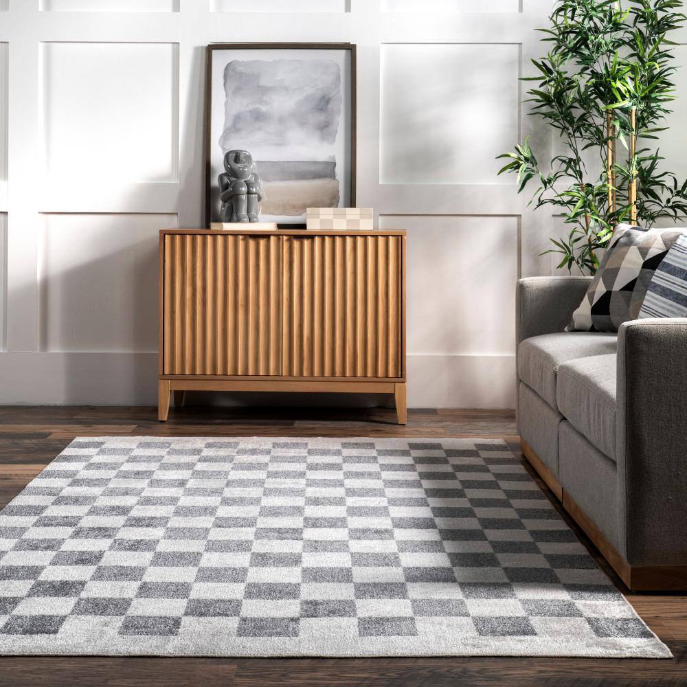 Naya Blue and White Checkered Synthetic Washable Area Rug