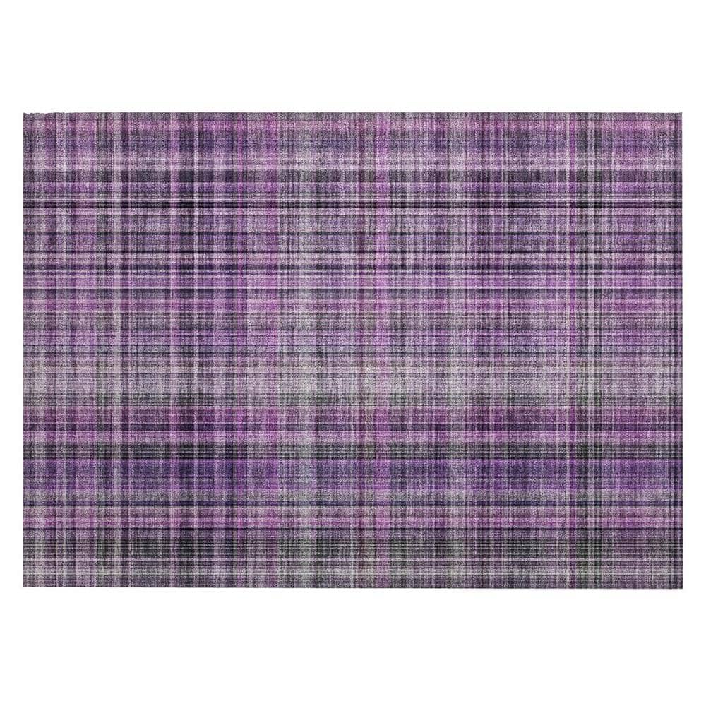 Purple 2 ft. x 3 ft. Woven Plaid Rectangle Indoor/Outdoor Area Rug price history on PriceWatchPro