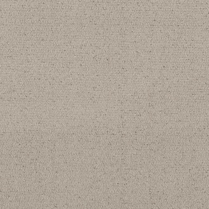 Night Owl - Thistle-Beige 12 ft. 42 oz. SD Polyester Pattern Intalled Carpet