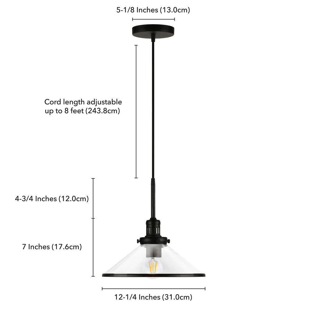 Milo Black Brushed Nickel Glass Dome Pendant Light