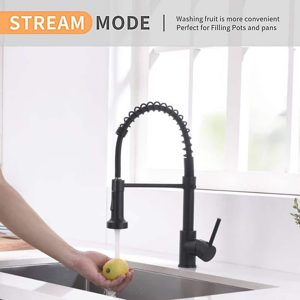 Matte Black Brass Pull Down Kitchen Faucet with Spray