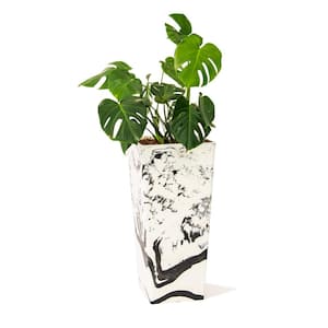 28 in. Tall Modern Square Plastic Planter, Tapered Floor Planter for Indoor and Outdoor, Patio Decor, Black and White