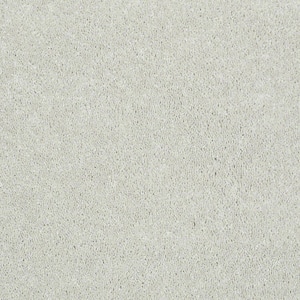 8 in. x 8 in. Texture Carpet Sample - Brave Soul I - Color Clay Bisque