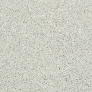 Brave Soul I - Clay Bisque - Beige 34.7 oz. Polyester Texture Installed Carpet