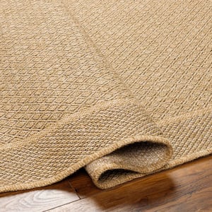 Mirage Tan Border 4 ft. x 6 ft. Indoor/Outdoor Area Rug