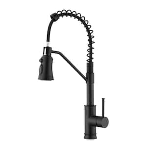 Single Hole Single-Handle Pull-Down Sprayer Kitchen Faucet In Matte Black