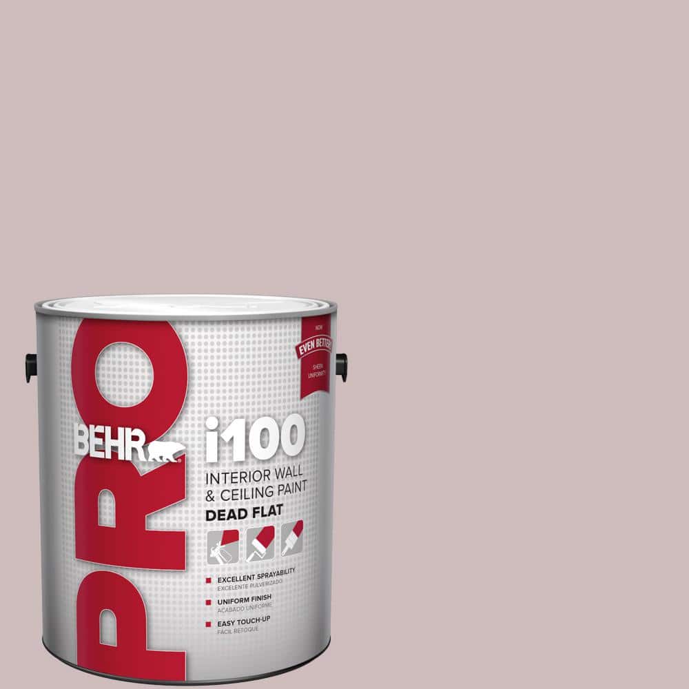 1 gal. #N120-3 Mauve It Dead Flat Interior Paint price history on PriceWatchPro