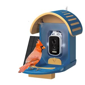 Blue Recycled Plastics Camera Auto-Capture 2. 5K UHD Bird Video Smart Bird Feeder 1.5 Liters 1-Pack