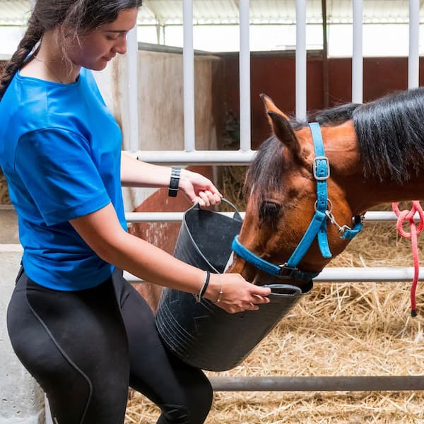 30 lb. Bag SRB Stabilized Rice Bran for All Classes and Ages of Horses, from Weanlings to Seniors