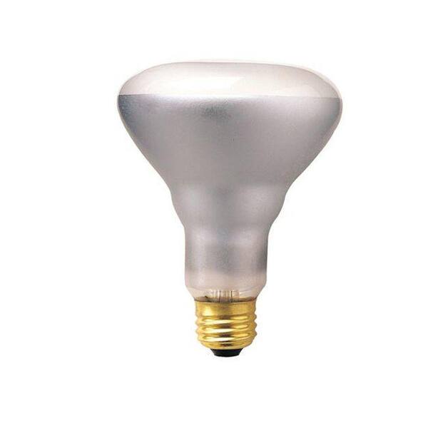 Bulbrite 65-Watt Incandescent BR30 Light Bulb (10-Pack)