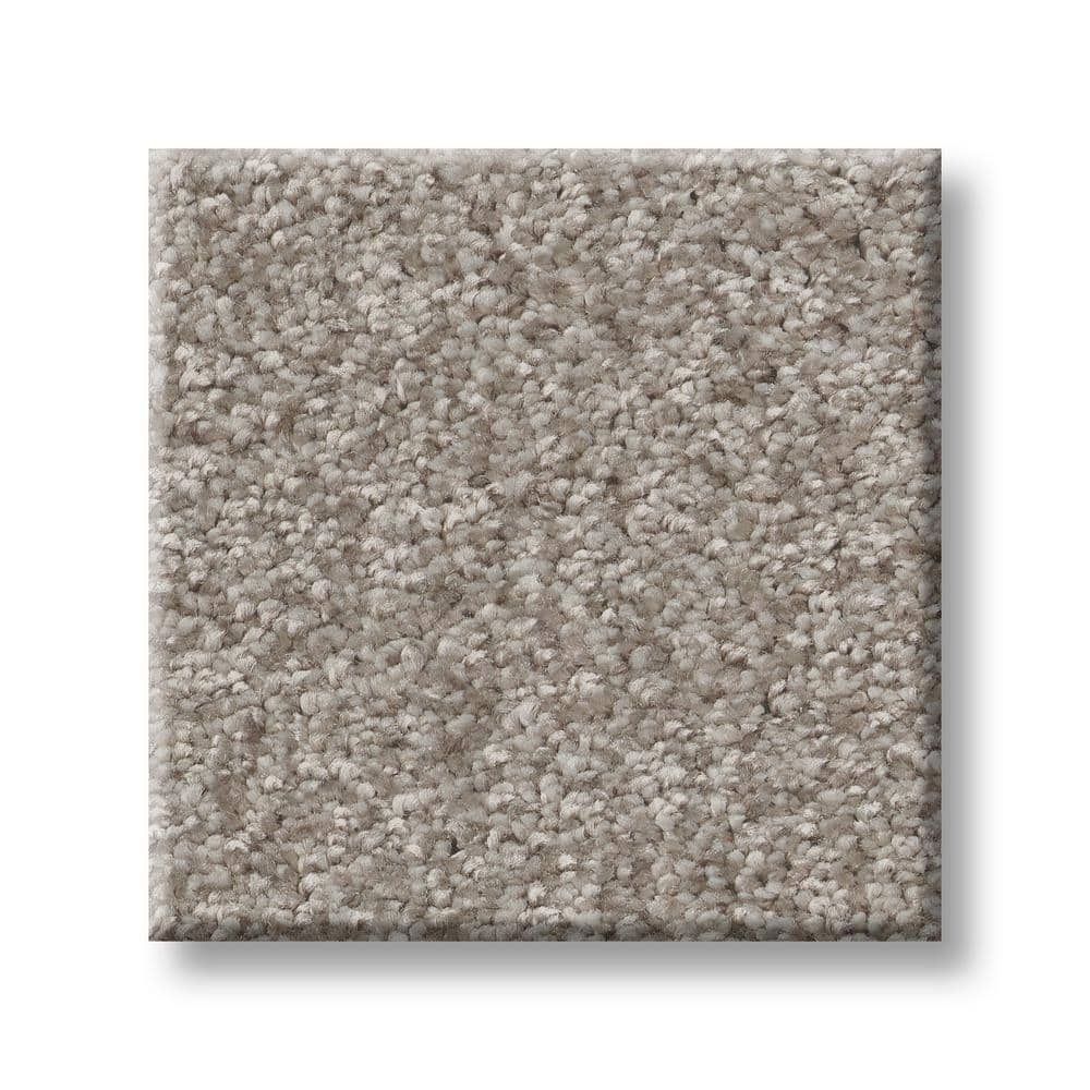 8 in. x 8 in. Texture Carpet Sample - Rosemary II -Color Nile price history on PriceWatchPro