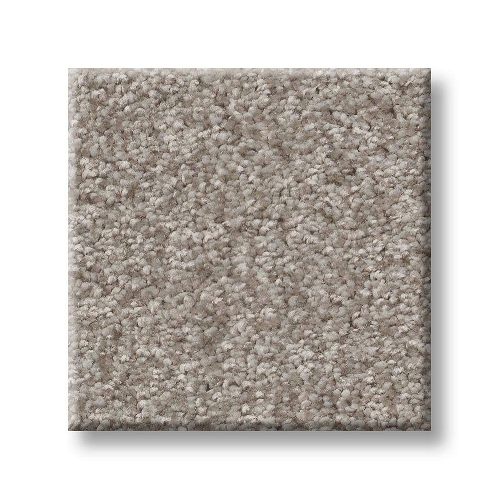 8 in. x 8 in. Texture Carpet Sample - Rosemary I -Color Nile price history on PriceWatchPro
