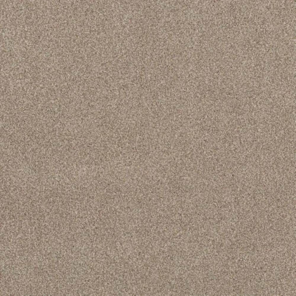 Lifeproof 8 in. x 8 in. Texture Carpet Sample - Urban Artifact II ...