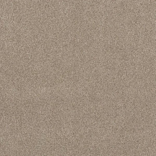 Lifeproof 8 in. x 8 in. Texture Carpet Sample - Urban Artifact II ...