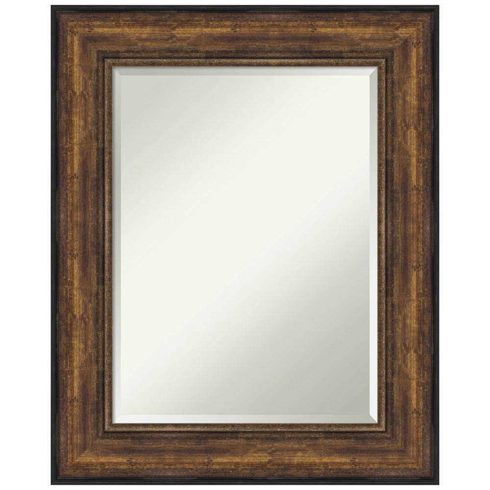 Amanti Art Medium Rectangle Bronze Bronze/Copper Metallic Beveled Glass ...