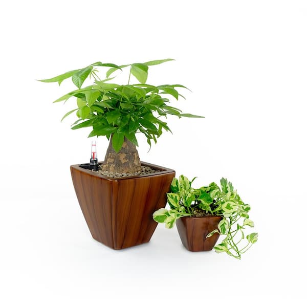HOTEBIKE 2-Pack Smart Self-watering Planter Pot for Indoor and Outdoor - Dark Wood - Square Cone