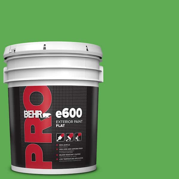 BEHR PRO 5 gal. #440B-6 Barnyard Grass Flat Exterior Paint