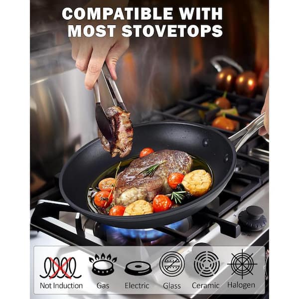 Marmite En Aluminium Anodisé Dur Antiadhésif 10,5 QT Avec Couvercle En Verre (Neuf)