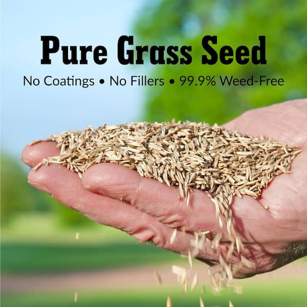 7 lb GreenView 2829354 Fairway Formula Grass Seed Perennial Ryegrass Blend 