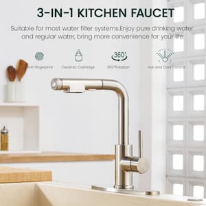 Single Handle Pull Down Sprayer Kitchen Faucet for Kitchen Sink with Water Filtered Function in Brushed Nickel