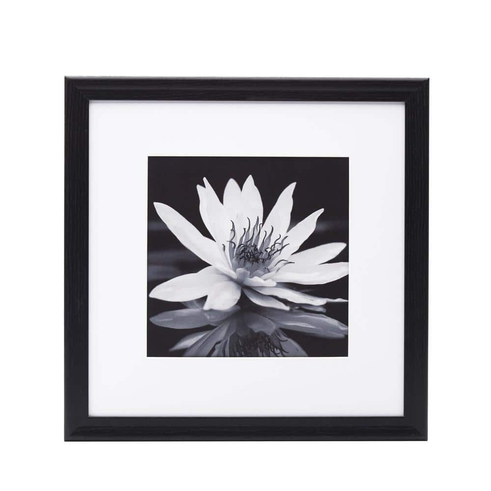 Set of Nine Black Matte Wood Wall-Mounted Photo Frames