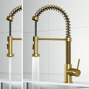 Edison Single Handle Pull-Down Sprayer Kitchen Faucet in Matte Brushed Gold