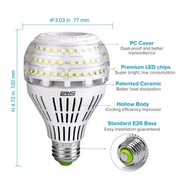 Elk jaar gevechten magnifiek 200-Watt Equivalent A21 Non-Dimmable 3000 Lumens LED Light Bulb Daylight in  5000K (2-Pack) 01-02-001-010122 - The Home Depot